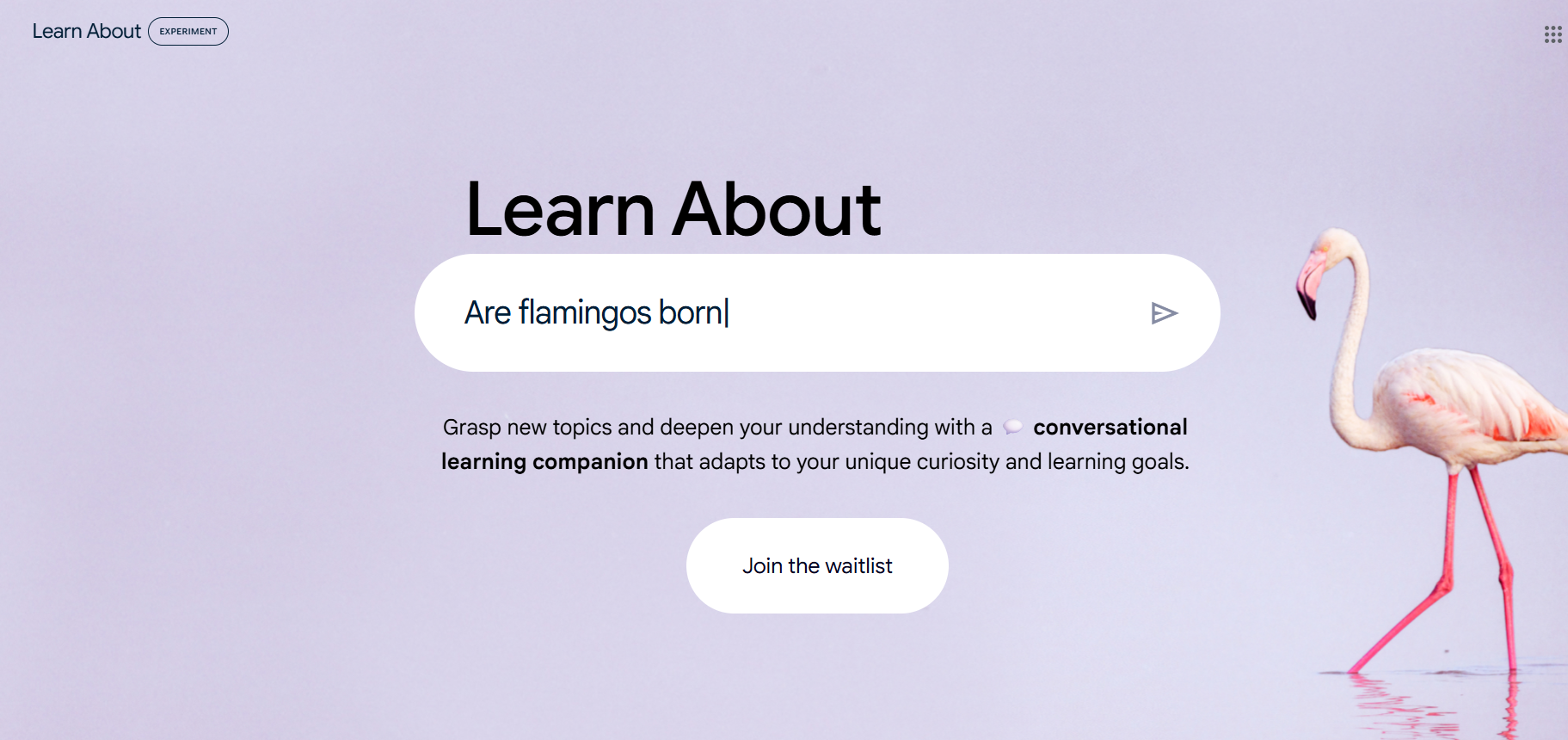 Learn About