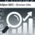 HubSpot SEO – Shorten title