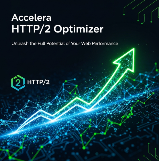 HTTP/2 and HTTP/3 Optimization
